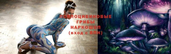 МДПВ Ельня